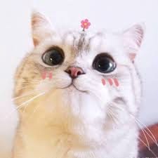 Hoàng Minh Tuấn avatar