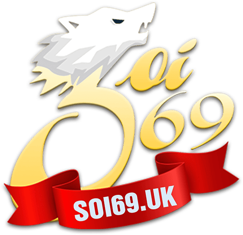 vnsoi69.com Logo